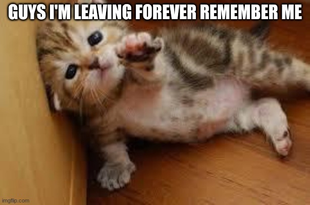 idk I'm returning to 2012 memes | GUYS I'M LEAVING FOREVER REMEMBER ME | image tagged in sad kitten goodbye | made w/ Imgflip meme maker