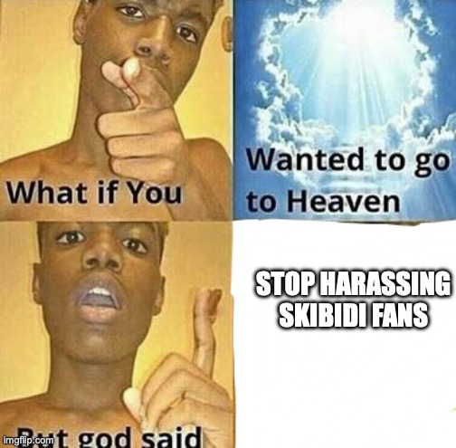 would you go to heaven | STOP HARASSING SKIBIDI FANS | image tagged in what if you wanted to go to heaven | made w/ Imgflip meme maker