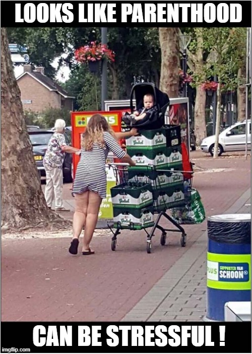 That's A Lot Of Grolsch ! | LOOKS LIKE PARENTHOOD; CAN BE STRESSFUL ! | image tagged in bad parenting,beer,baby,dutch,dark humour | made w/ Imgflip meme maker