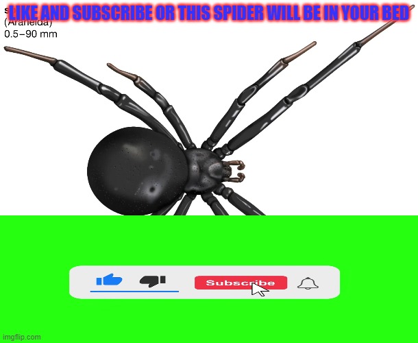 Literally every single youtuber in every single video | LIKE AND SUBSCRIBE OR THIS SPIDER WILL BE IN YOUR BED | image tagged in youtube,funny,like,subscribe,spiders | made w/ Imgflip meme maker