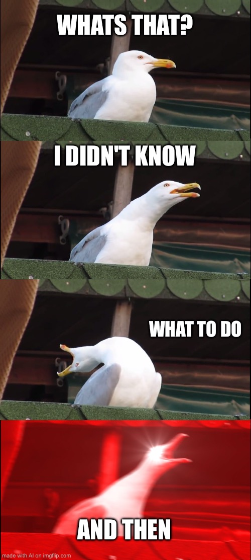 Inhaling Seagull | WHATS THAT? I DIDN'T KNOW; WHAT TO DO; AND THEN | image tagged in memes,inhaling seagull | made w/ Imgflip meme maker