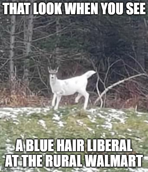 Blue Hair stand out | THAT LOOK WHEN YOU SEE; A BLUE HAIR LIBERAL AT THE RURAL WALMART | image tagged in liberals,walmart,people of walmart,conservative,public,captain obvious | made w/ Imgflip meme maker