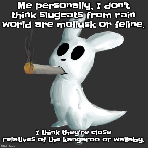 Yuh | Me personally, I don't think slugcats from rain world are mollusk or feline. I think they're close relatives of the kangaroo or wallaby. | image tagged in slugcat smoke | made w/ Imgflip meme maker