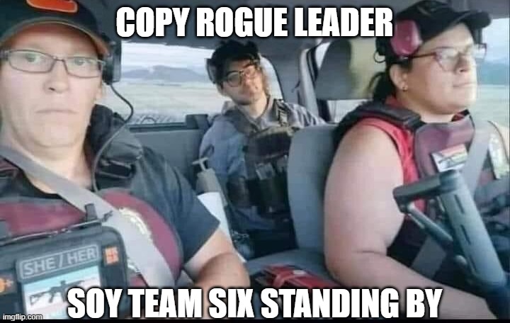 Soy Team 6 | COPY ROGUE LEADER; SOY TEAM SIX STANDING BY | image tagged in star wars,rogue one,star wars rebels,navy seals,liberal logic,pronouns | made w/ Imgflip meme maker