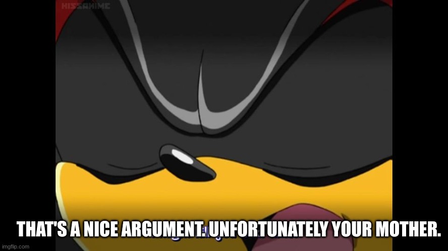 Shadow the hedgehog might kill you next time | THAT'S A NICE ARGUMENT. UNFORTUNATELY YOUR MOTHER. | image tagged in shadow the hedgehog might kill you next time | made w/ Imgflip meme maker