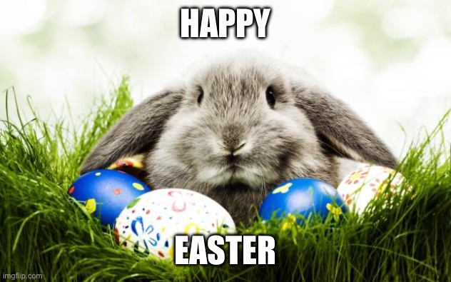 Happy Easter | HAPPY; EASTER | image tagged in easter bunny | made w/ Imgflip meme maker