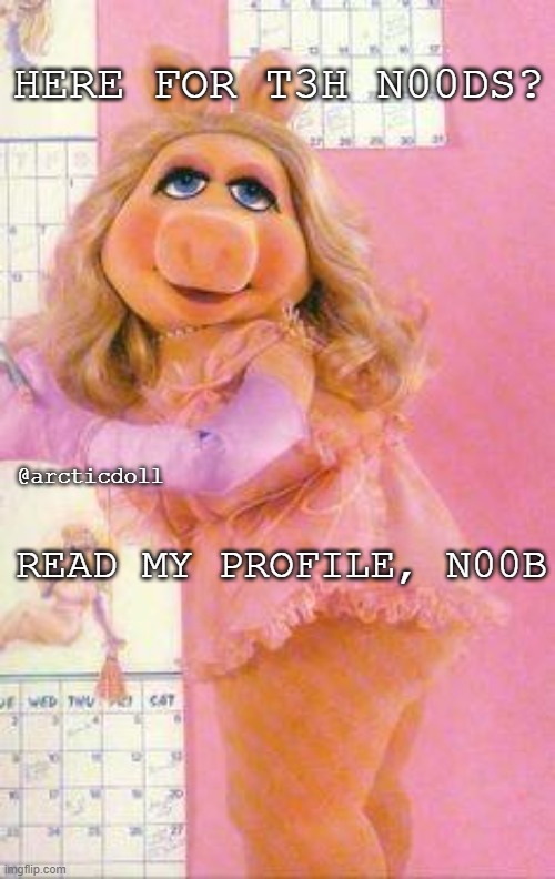 Miss Piggy | HERE FOR T3H N00DS? @arcticdoll; READ MY PROFILE, N00B | image tagged in miss piggy | made w/ Imgflip meme maker