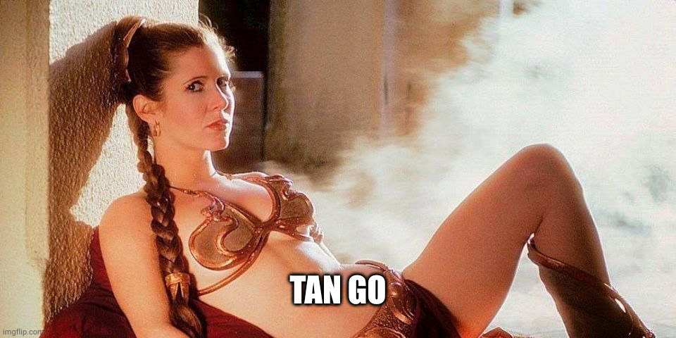 Star Wars Slave Leia | TAN GO | image tagged in star wars slave leia | made w/ Imgflip meme maker