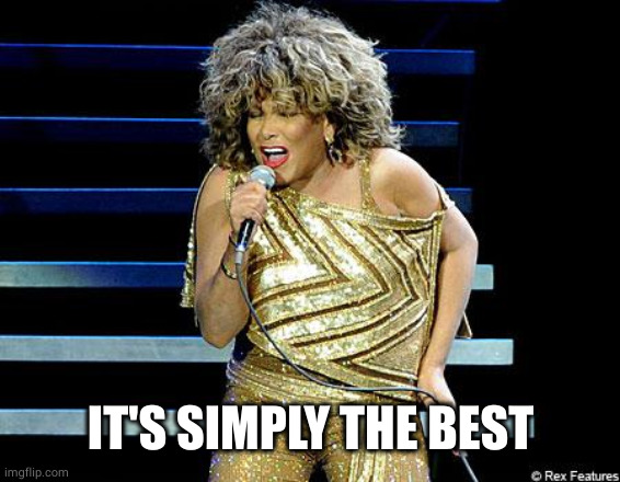 tina turner | IT'S SIMPLY THE BEST | image tagged in tina turner | made w/ Imgflip meme maker