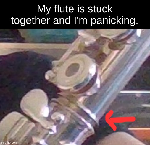 ((oh no, I hope you figure out how to fix it)) | My flute is stuck together and I'm panicking. | made w/ Imgflip meme maker