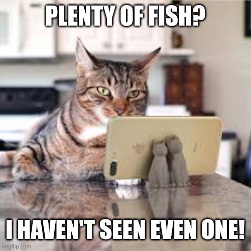 POF cat | PLENTY OF FISH? I HAVEN'T SEEN EVEN ONE! | image tagged in cat,cell,phone,plenty of fish | made w/ Imgflip meme maker