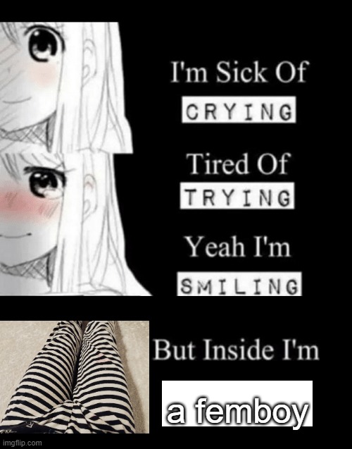 I'm Sick Of Crying | a femboy | image tagged in i'm sick of crying | made w/ Imgflip meme maker