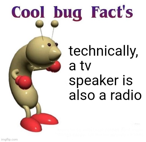 Cool Bug Facts Api | technically, a tv speaker is also a radio | image tagged in cool bug facts api | made w/ Imgflip meme maker