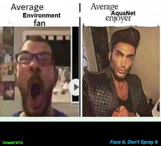 Face It, Don't Spray It [NV] | OzwinEVCG; Face It, Don't Spray It | image tagged in dank,silly,average enjoyer,average fan,hairspray,environment | made w/ Imgflip meme maker