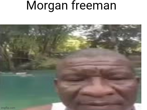 Idk | Morgan freeman | image tagged in n,i,g,e,r,im black its fine guys | made w/ Imgflip meme maker