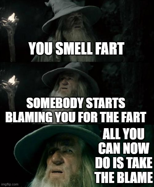 Confused Gandalf | YOU SMELL FART; SOMEBODY STARTS BLAMING YOU FOR THE FART; ALL YOU CAN NOW DO IS TAKE THE BLAME | image tagged in memes,confused gandalf,funny,funny memes | made w/ Imgflip meme maker