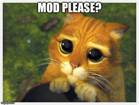 Shrek Cat Meme | MOD PLEASE? | image tagged in memes,shrek cat | made w/ Imgflip meme maker