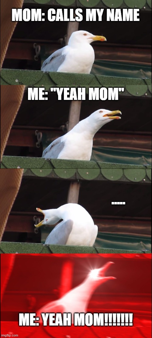 Inhaling Seagull | MOM: CALLS MY NAME; ME: "YEAH MOM"; ..... ME: YEAH MOM!!!!!!! | image tagged in memes,inhaling seagull | made w/ Imgflip meme maker