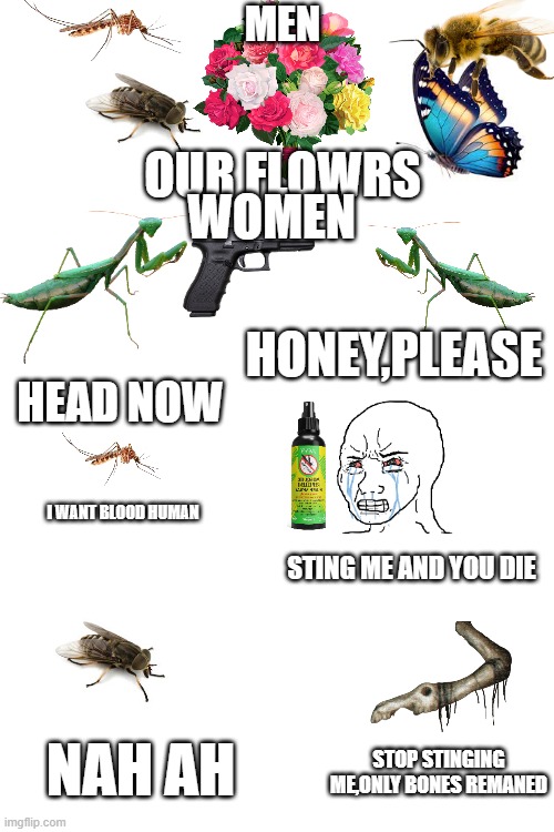 nature logic | MEN; WOMEN; OUR FLOWRS; HONEY,PLEASE; HEAD NOW; I WANT BLOOD HUMAN; STING ME AND YOU DIE; NAH AH; STOP STINGING ME,ONLY BONES REMANED | image tagged in female logic,male logic,insects,mosquitoes,praying mantis,horse fly | made w/ Imgflip meme maker