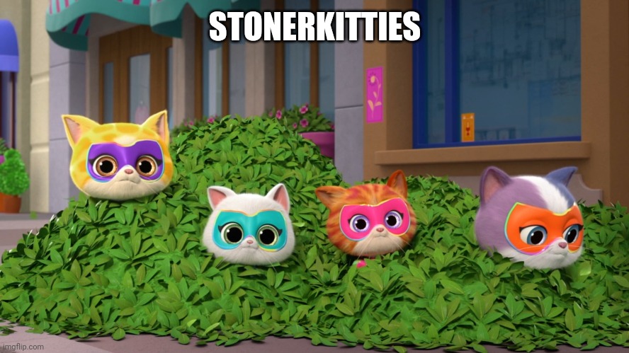 Weed | STONERKITTIES | image tagged in superkitties,disney junior,weed,pot,marijuana,cannabis | made w/ Imgflip meme maker