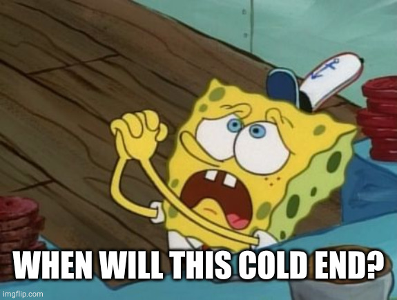 begging | WHEN WILL THIS COLD END? | image tagged in begging | made w/ Imgflip meme maker