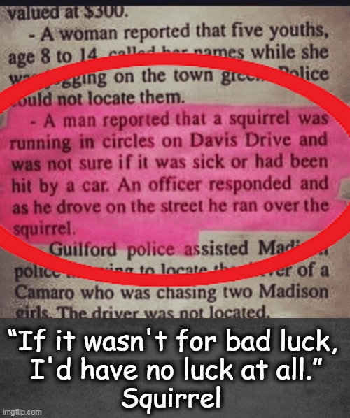 Luck be a lady tonight | “If it wasn't for bad luck, 
I'd have no luck at all.”; Squirrel | image tagged in dark humor,squirrel,car accident,lucky,unlucky,bad time | made w/ Imgflip meme maker