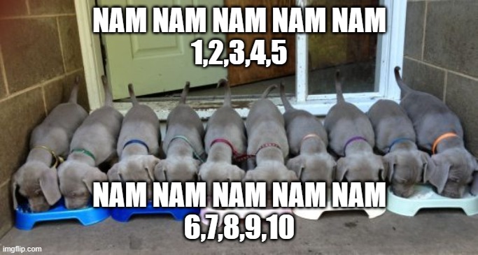 10 little puppies. | NAM NAM NAM NAM NAM
1,2,3,4,5; NAM NAM NAM NAM NAM
6,7,8,9,10 | image tagged in cute puppies | made w/ Imgflip meme maker