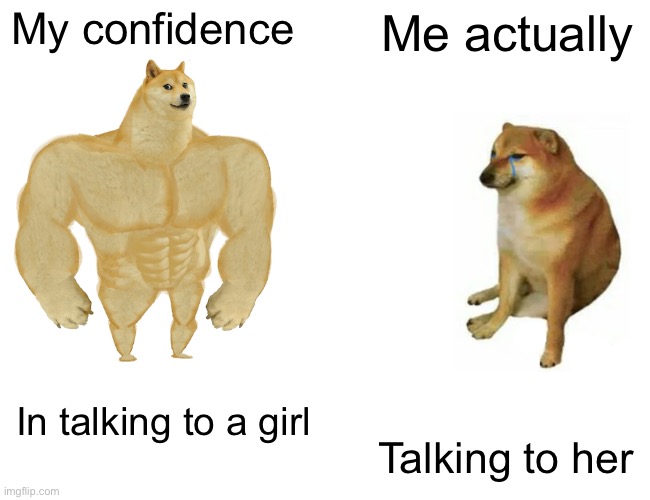 Doge | My confidence; Me actually; In talking to a girl; Talking to her | image tagged in memes,buff doge vs cheems | made w/ Imgflip meme maker