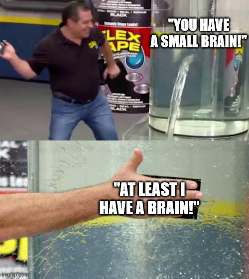 I Just Taught you a Comeback! | "YOU HAVE A SMALL BRAIN!"; "AT LEAST I HAVE A BRAIN!" | image tagged in flex tape | made w/ Imgflip meme maker