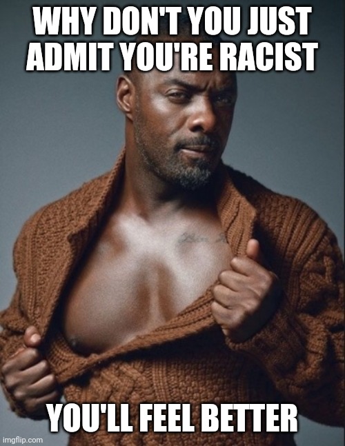 Idris Elba Birthday | WHY DON'T YOU JUST ADMIT YOU'RE RACIST; YOU'LL FEEL BETTER | image tagged in idris elba birthday | made w/ Imgflip meme maker