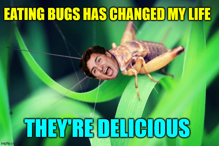 Bugs are delicious... Justin says so... | EATING BUGS HAS CHANGED MY LIFE THEY'RE DELICIOUS | image tagged in nwo,eat bugs,comply | made w/ Imgflip meme maker