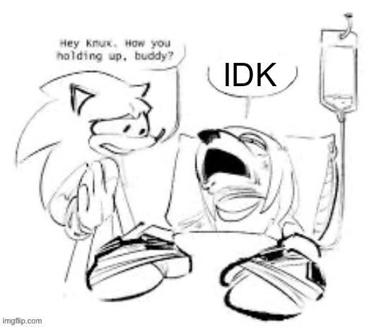 new temp | IDK | image tagged in knuckles in the hospital | made w/ Imgflip meme maker