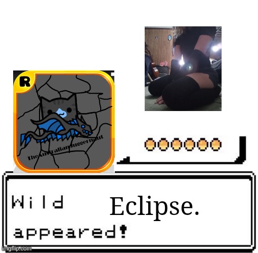 I use ultra balls | Eclipse. | image tagged in blank wild pokemon appears | made w/ Imgflip meme maker