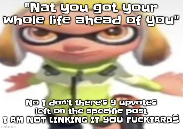 ​ | "Nat you got your whole life ahead of you"; No I don't there's 9 upvotes left on the specific post I AM NOT LINKING IT YOU FU​CKTARDS | image tagged in ikan's stare | made w/ Imgflip meme maker