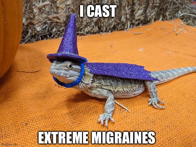I CAST; EXTREME MIGRAINES | image tagged in memes,animal meme,funny animal meme,wizard,shitpost,lizard | made w/ Imgflip meme maker