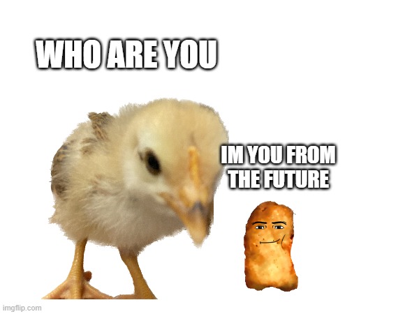 he stepped on kfc? | WHO ARE YOU; IM YOU FROM THE FUTURE | image tagged in fried chicken,chicken,poor chicken,im you from the future | made w/ Imgflip meme maker