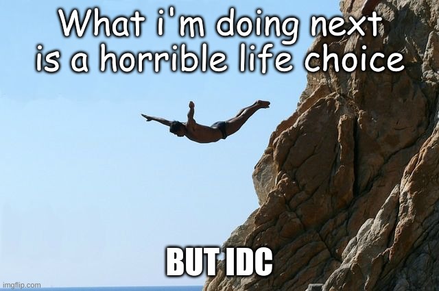 Jumping off a cliff | What i'm doing next is a horrible life choice BUT IDC | image tagged in jumping off a cliff | made w/ Imgflip meme maker