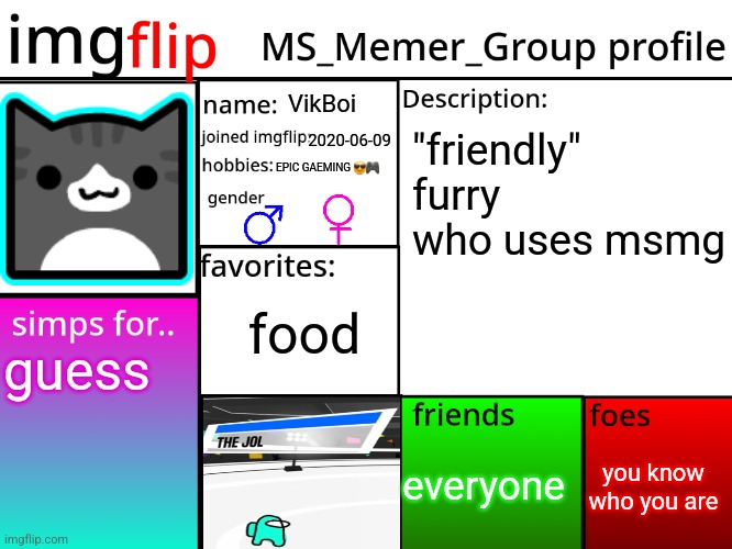described a bit better | VikBoi; 2020-06-09; "friendly" furry who uses msmg; EPIC GAEMING 😎🎮; food; guess; you know who you are; everyone | image tagged in msmg profile | made w/ Imgflip meme maker