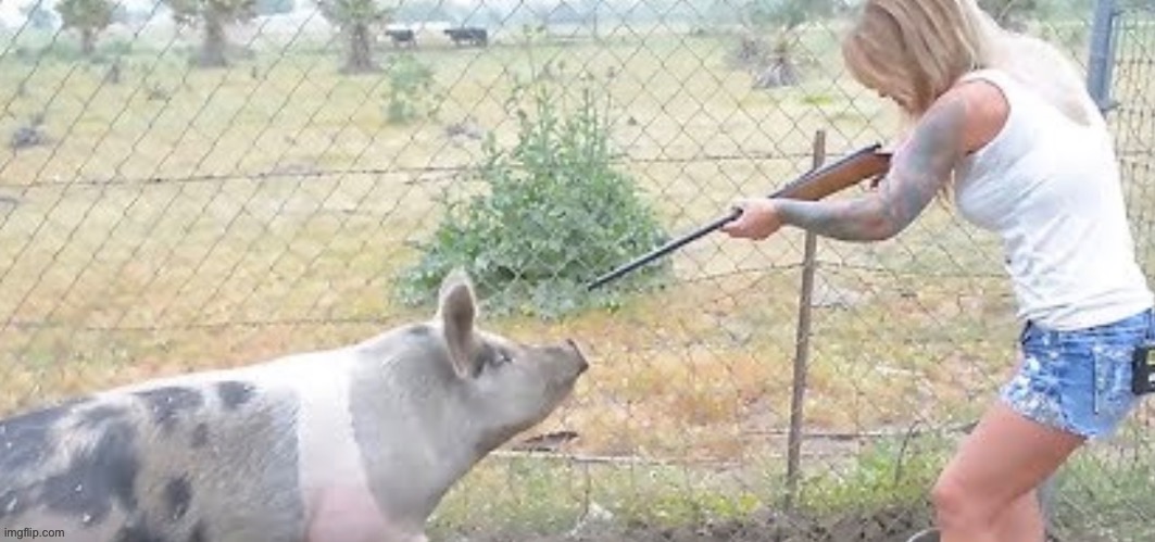 Half y’all mfs wanna do this | made w/ Imgflip meme maker