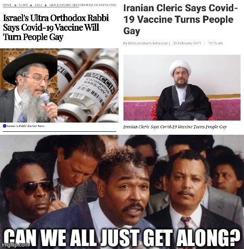 CAN WE ALL JUST GET ALONG? | image tagged in rodney king,covid-19,vaccine,iran,israel,jews | made w/ Imgflip meme maker