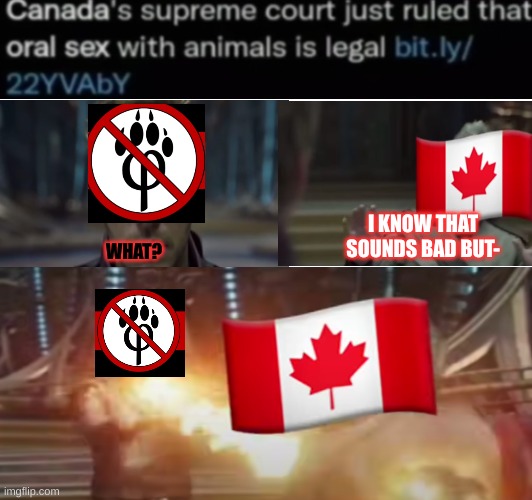 WTF canada | I KNOW THAT SOUNDS BAD BUT-; WHAT? | image tagged in canada,anti furry,marvel,everyday we stray further from god | made w/ Imgflip meme maker