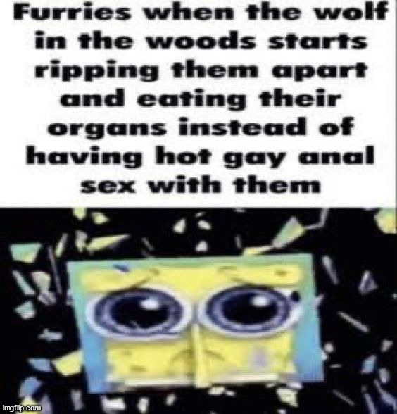 im a fur e | made w/ Imgflip meme maker