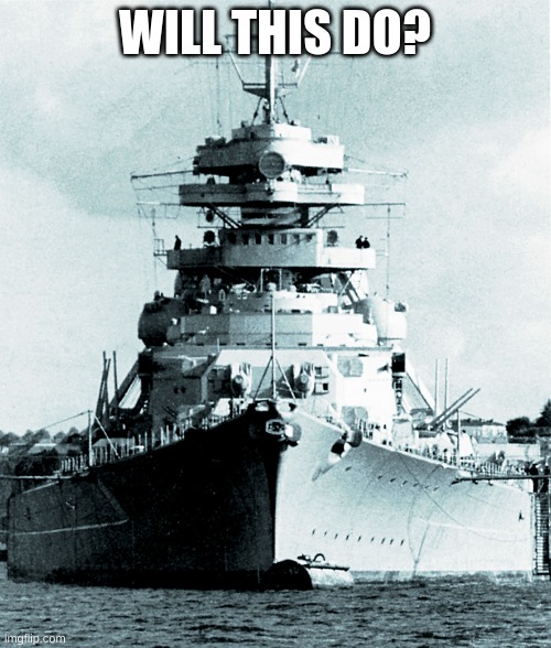Bismarck | WILL THIS DO? | image tagged in bismarck | made w/ Imgflip meme maker