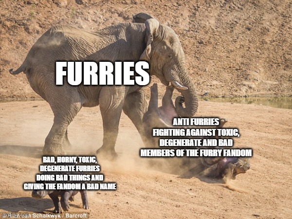 ''Good furries'' when anti furries fight bad furries | FURRIES; ANTI FURRIES FIGHTING AGAINST TOXIC, DEGENERATE AND BAD MEMBERS OF THE FURRY FANDOM; BAD, HORNY, TOXIC, DEGENERATE FURRIES DOING BAD THINGS AND GIVING THE FANDOM A BAD NAME | image tagged in anti furry,funny,facts,lol | made w/ Imgflip meme maker