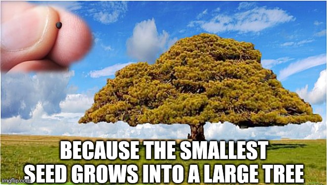 Mustard seed | BECAUSE THE SMALLEST SEED GROWS INTO A LARGE TREE | image tagged in jesus christ | made w/ Imgflip meme maker