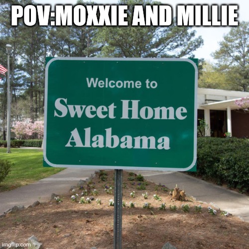Welcome to sweet home Alabama | POV:MOXXIE AND MILLIE | image tagged in welcome to sweet home alabama | made w/ Imgflip meme maker