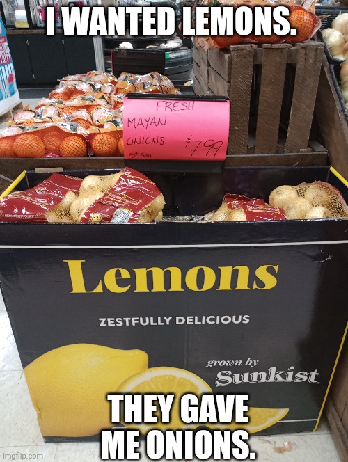 Should this be considered as a design fail? | I WANTED LEMONS. THEY GAVE ME ONIONS. | image tagged in you had one job,design fails,onion,lemon,crap | made w/ Imgflip meme maker