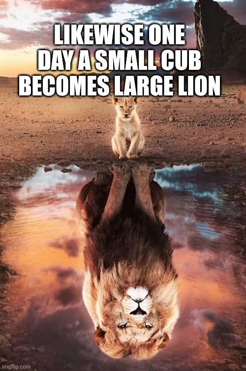 Lion cub | LIKEWISE ONE DAY A SMALL CUB BECOMES LARGE LION | image tagged in the lion king | made w/ Imgflip meme maker