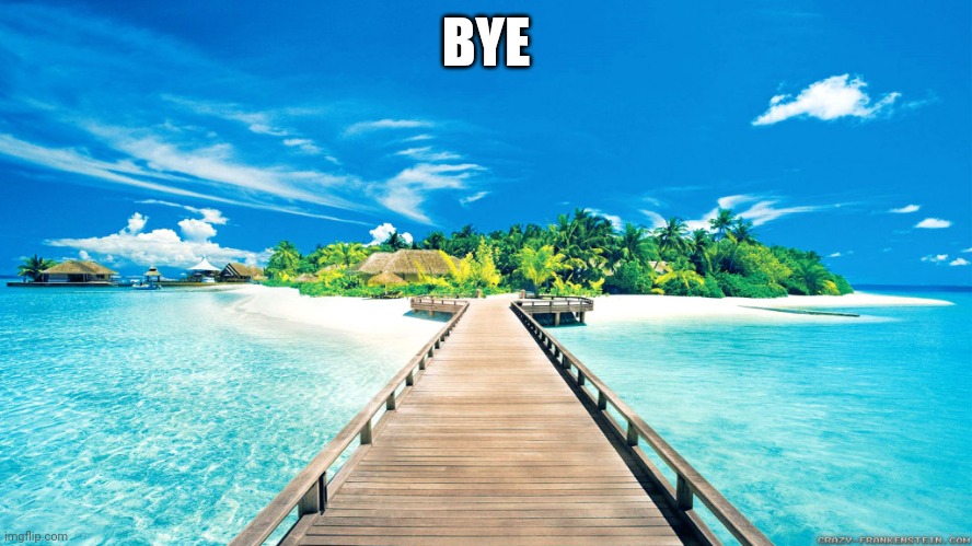 paradise | BYE | image tagged in paradise | made w/ Imgflip meme maker