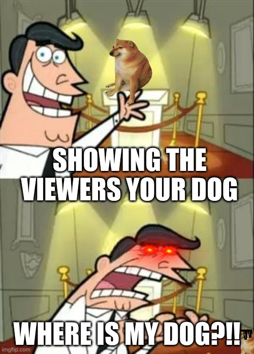 This Is Where I'd Put My Trophy If I Had One Meme | SHOWING THE VIEWERS YOUR DOG; WHERE IS MY DOG?!! | image tagged in memes,this is where i'd put my trophy if i had one | made w/ Imgflip meme maker
